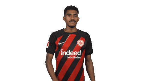 Eintracht Frankfurt No Sticker by Bundesliga