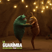 Happy In Love GIF by La Guarimba Film Festival