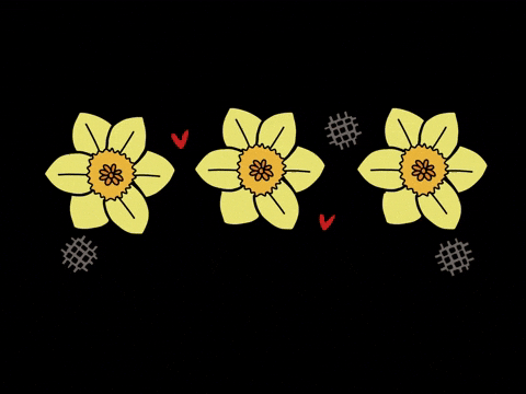 GIF by Cartrefclyd