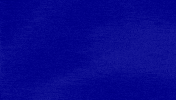 Identification GIF by Jeopardy!