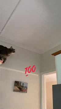 Made It Success GIF
