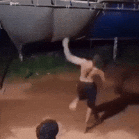 Meme Guy GIF