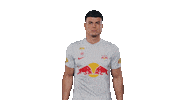 Football Sport Sticker by FC Red Bull Salzburg