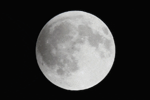 Lunar Eclipse Photography GIF by Photojojo