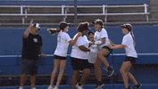 Celebration Team GIF by The Alliance Fastpitch