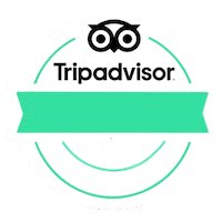 yeitours travel mexico turismo tourism Sticker
