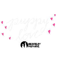 Adopt Puppy Love Sticker by Berkeley Humane