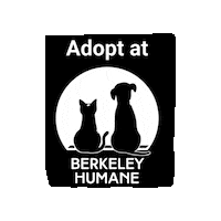 Adoptdontshop Sticker by Berkeley Humane