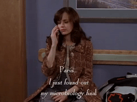 season 6 netflix GIF by Gilmore Girls 