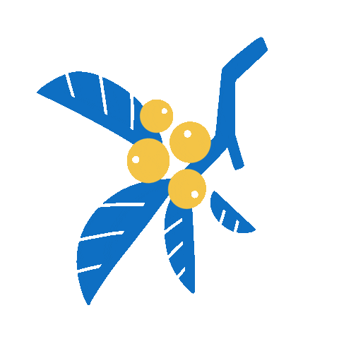 O_linolista giphyupload arvore fruto olinolista Sticker