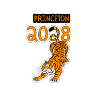Princeton 2028 Sticker by Princeton University