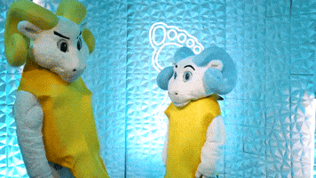 Chapel Hill Baseball GIF by UNC Tar Heels
