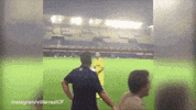 GIF by The Telegraph