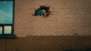 Ellen Page Netflix GIF by The Umbrella Academy