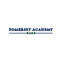 Academica Schools Sticker by Academica