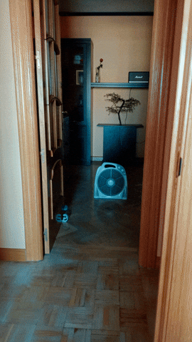 acorazado giphyupload GIF