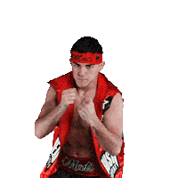Reshat Mati Sticker by Matchroom Boxing