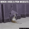 seowl_app seo seowl GIF