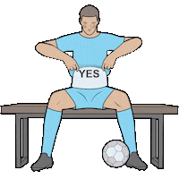 Football Soccer Sticker by Gudim