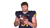 College Football Sticker by Toledo Rockets
