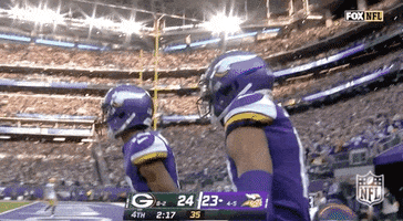 Minnesota Vikings Football GIF by NFL