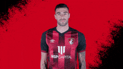 Football Celebrate GIF by AFC Bournemouth