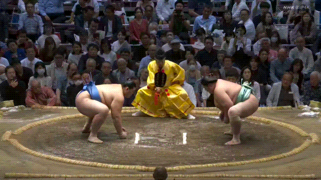 TZ85 giphyupload GIF
