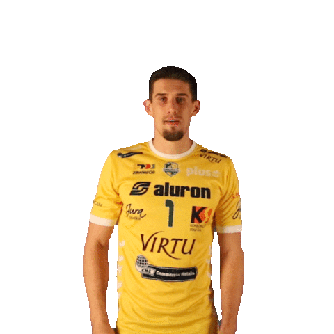 2-2 Virtu Sticker by Aluron CMC Warta Zawiercie