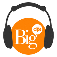 Party Dj Sticker by BigDjs