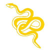 Palm Tree Festival Sticker by Rakastella