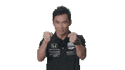 Driving Takuma Sato Sticker by INDYCAR