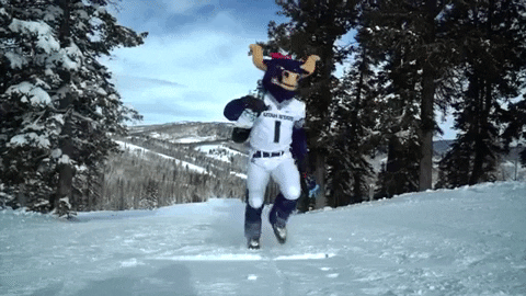 bigblue GIF by Utah State University