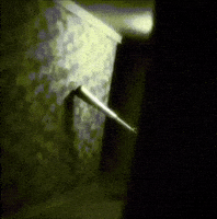 Memecoin Dwarf GIF