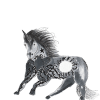 gif artist unicorn Sticker