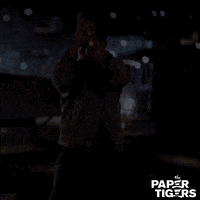 Martial Arts Movie GIF by AMP International