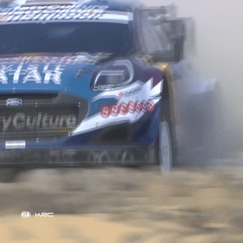 Rallying Ford GIF by FIA World Rally Championship