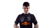 Red Bull Sr Sticker by Oracle Red Bull Racing