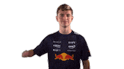 Red Bull Sr Sticker by Oracle Red Bull Racing