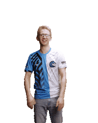 Al Bundy Zebras Sticker by BS+COMPETITION