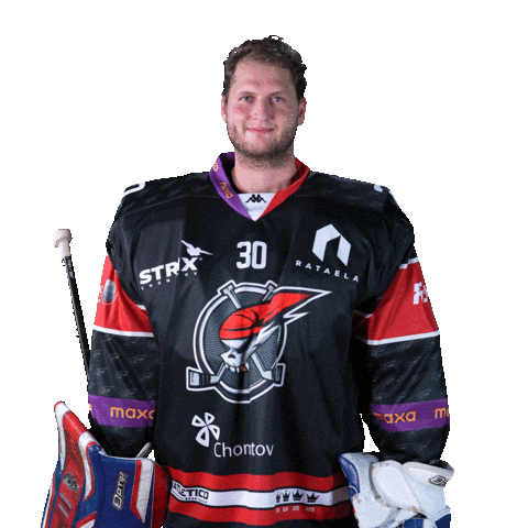 Hokej Goaltender Sticker by Piráti Chomutov