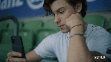 Shawn Mendes Facetime GIF by NETFLIX
