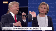 GIF by Alex Bedder