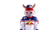 Rob Ice Hockey Sticker by EC Red Bull Salzburg