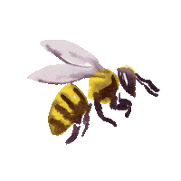 Flower Bee Sticker by compo
