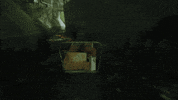 Catgame GIF by Annapurna Interactive