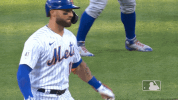 Celebrate Ny Mets GIF by New York Mets