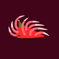 Sea Slug GIF by Katya Ross