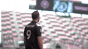 Gonzalo Higuain Futbol GIF by Inter Miami CF
