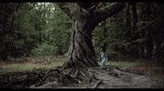 Mr Sandman Tree GIF by Signature Entertainment