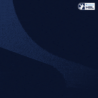 Handball Erlangen GIF by DAIKIN HBL